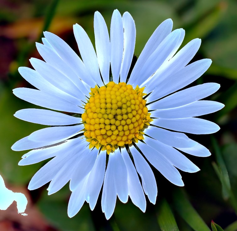 image with color replaced